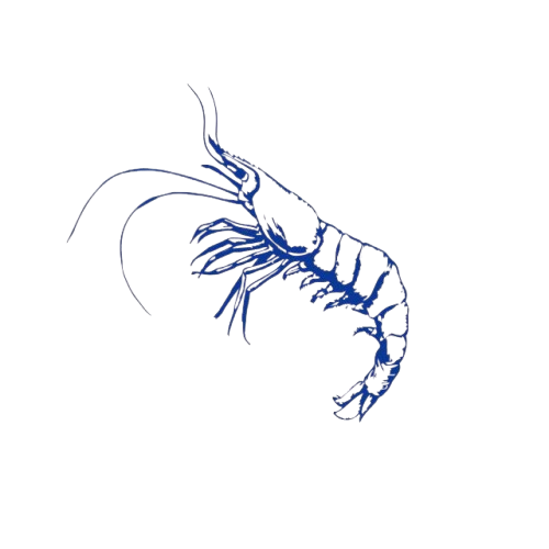 Logo CV. Mina Prasojo